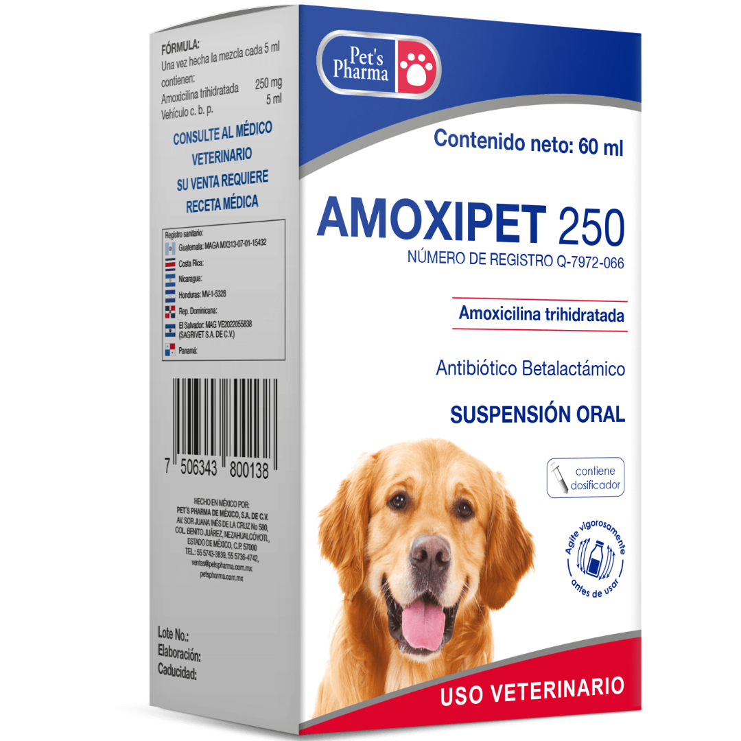 Productos Amoxipet 250 Solución Oral 60ml - Pet's Pharma Productos Amoxipet 250 Solución Oral 60ml - Pet's Pharma